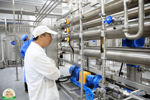 助農團團丨刺梨產業(yè)巡禮① 刺梨原榨果汁,天然原味,你敢來喝嗎