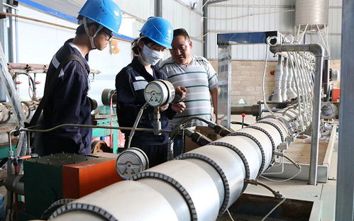 電力護航5萬畝軟籽石榴興旺發(fā)展